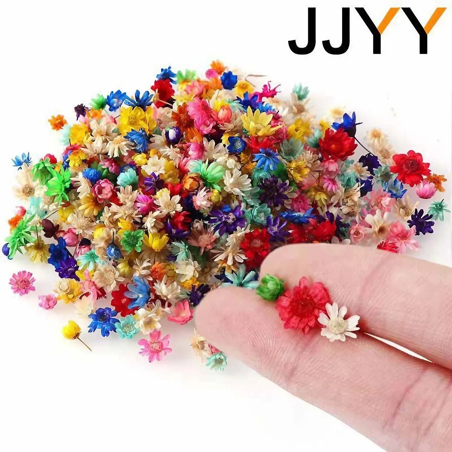 JJYY Multicolor Mini Dried Flowers