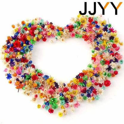 JJYY Multicolor Mini Dried Flowers