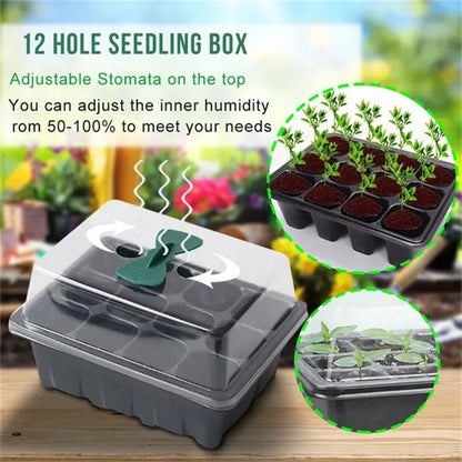 Seedling Trays Tools