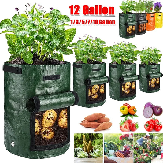 Vegetable Planter Growing Bag