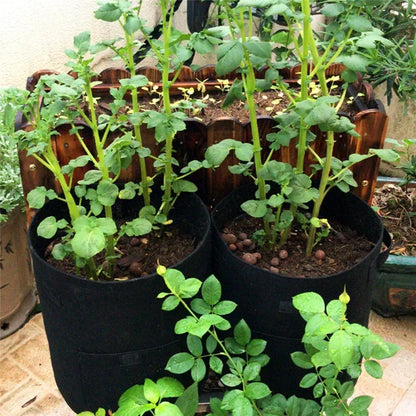 Potato Grow Pots Plant Bags