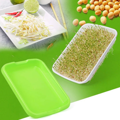 Microgreens Sprouter Hydroponic Tray