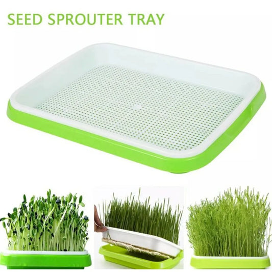 Microgreens Sprouter Hydroponic Tray